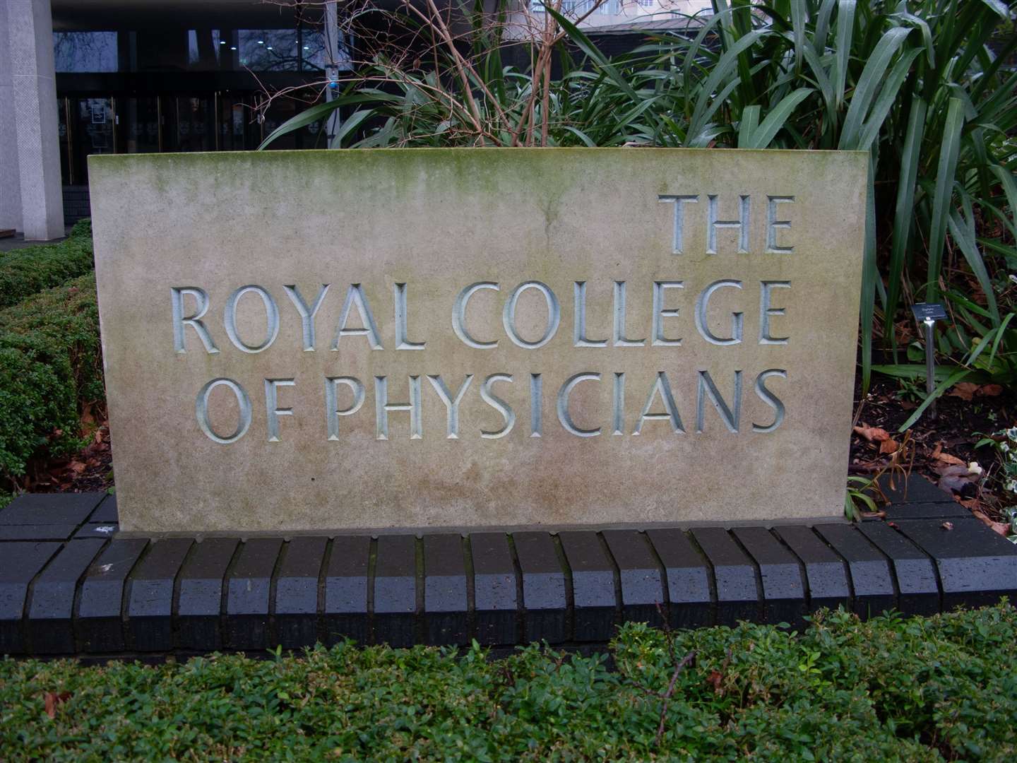 The Royal College of Physicians has added its voice to concerns around the assisted dying Bill (Alamy/PA)
