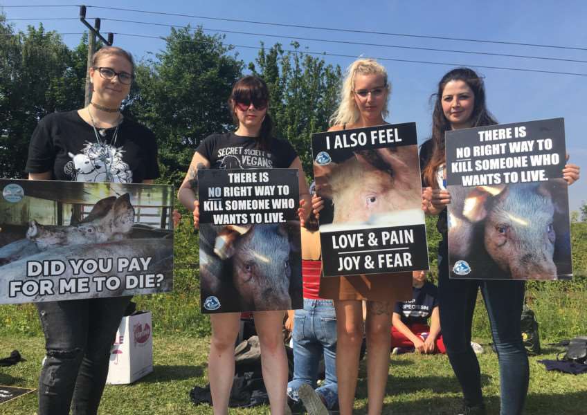 Activists holding signs at the vigil at C&K Meats in Eye.