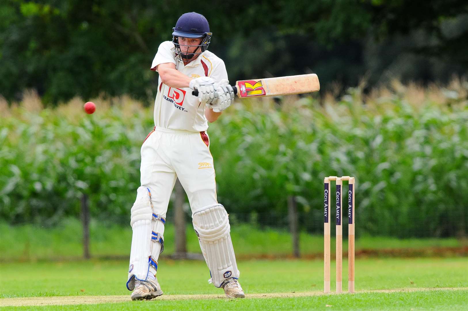 GOOD KNOCK: Tom Davey