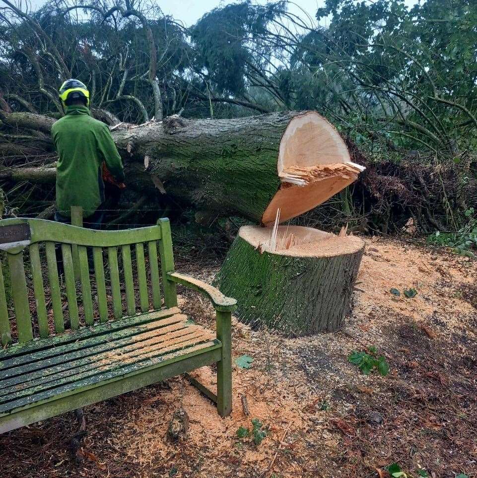 Both Leylandii trees at Eye Cemetery were felled yesterday. Picture submitted