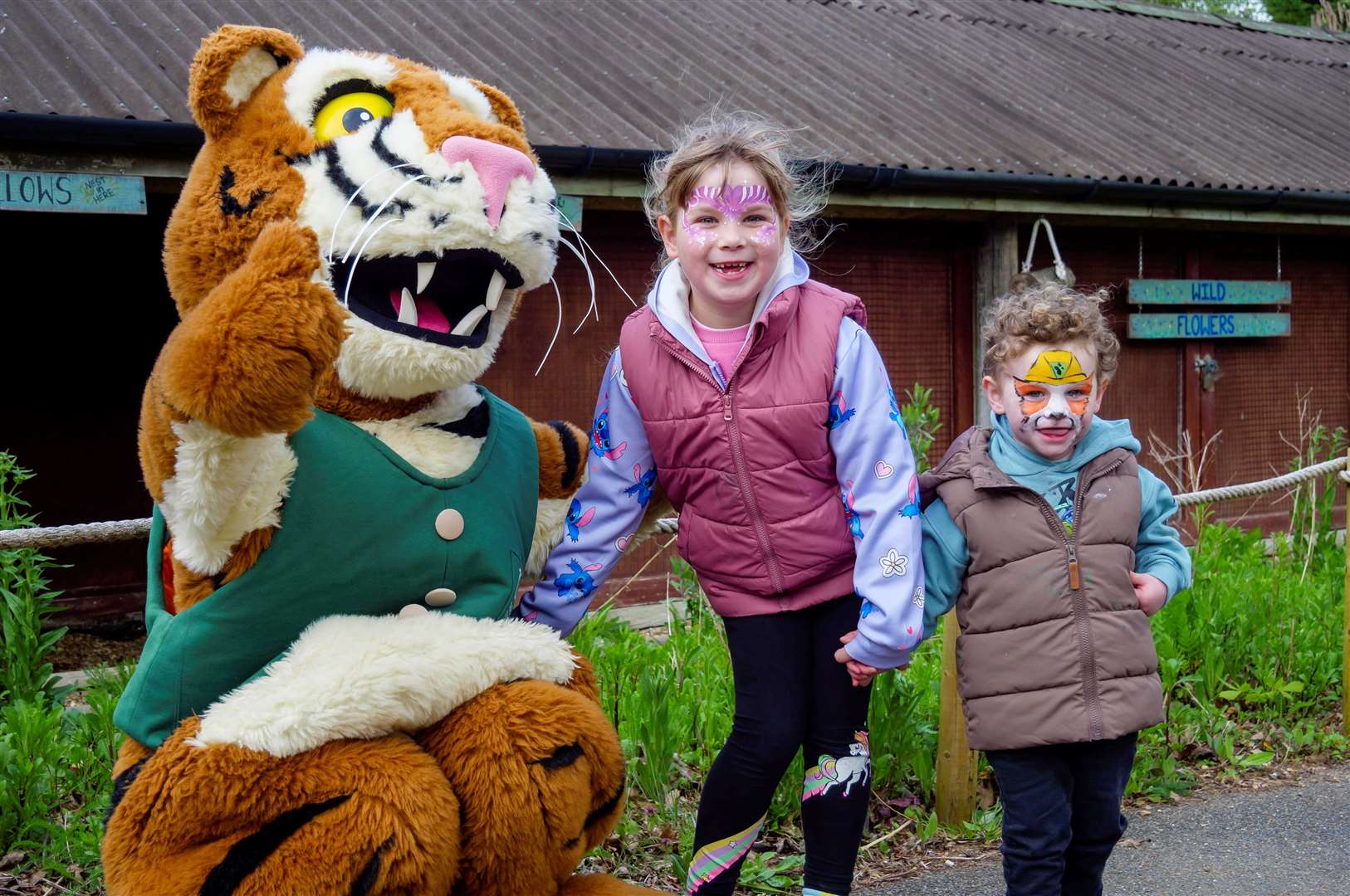 Banham, Norfolk, 20/04/2024TV’s Paw Patrol themed family fun day at Banham Zoo with fans getting the chance to meet Marshall, pictured is Toby the Tiger with Harper and Oliver Vamvakidis. Picture: Mark Bullimore Photography 2024