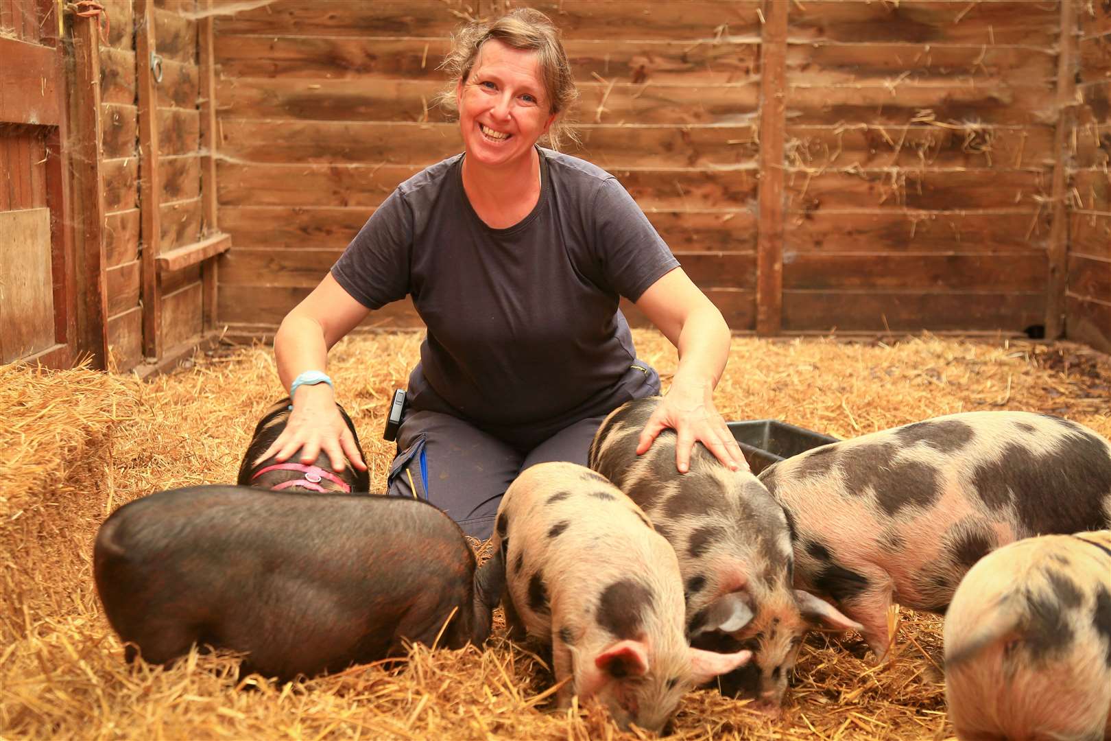 Stacey Eve with her Pigs at Everlong Farm. Pictures: Gary Donnison